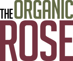 The Organic Rose